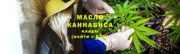 гашик Заводоуковск