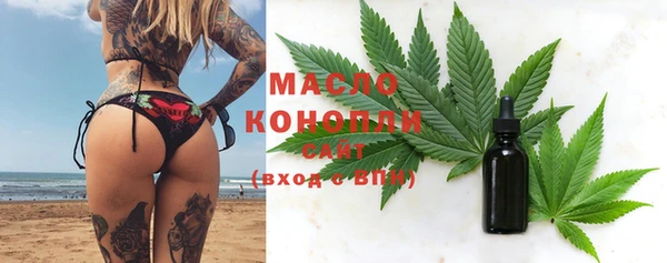 гашик Заводоуковск