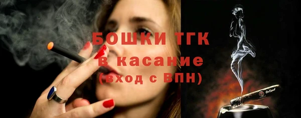 гашик Заводоуковск