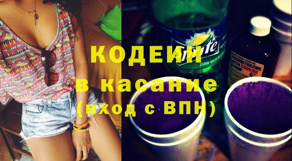 гашик Заводоуковск