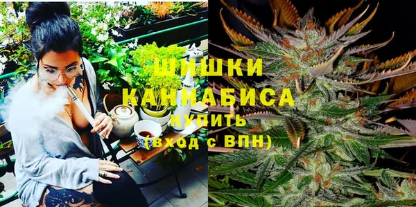 гашик Заводоуковск