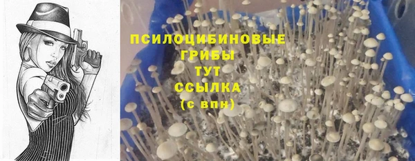 MDMA Заволжье
