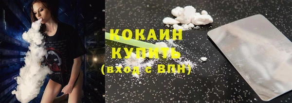 гашик Заводоуковск